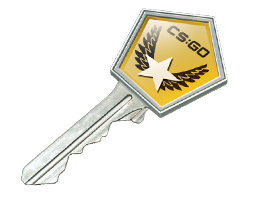 Winter Offensive Case Key