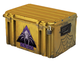 Shattered Web Case