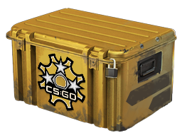 Revolver Case