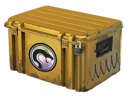 Recoil Case