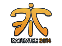 Fnatic | Katowice 2014