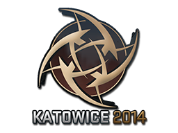 Ninjas in Pyjamas | Katowice 2014