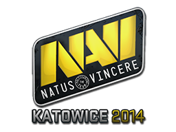 Natus Vincere | Katowice 2014