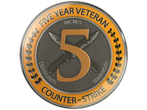 5 Year Veteran Coin