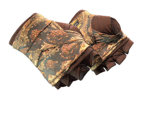 Constrictor