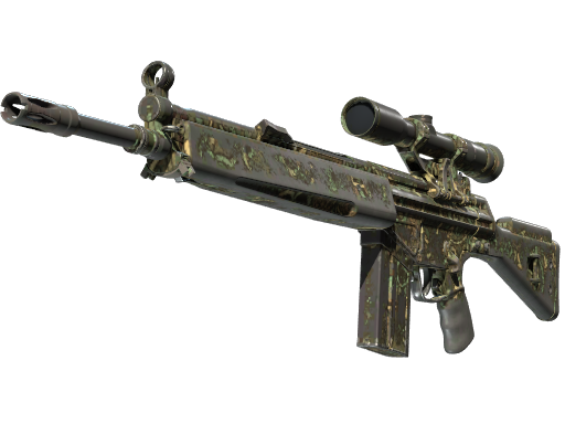 g3sg1 Battle-Scarred