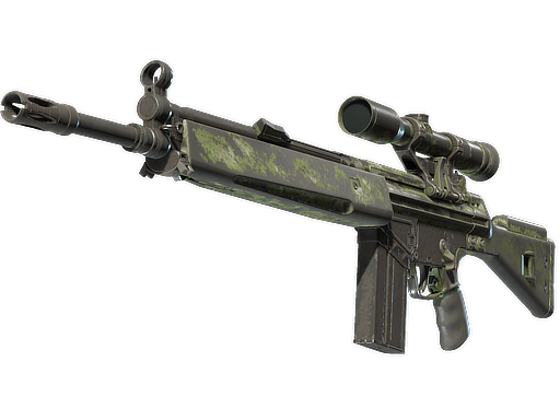 g3sg1 Battle-Scarred