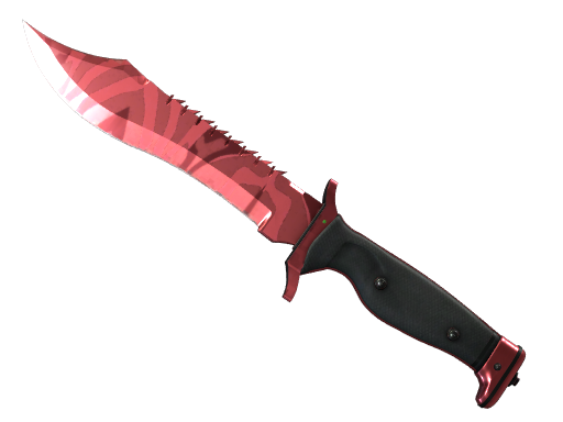 Slaughter