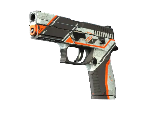 p250 Battle-Scarred