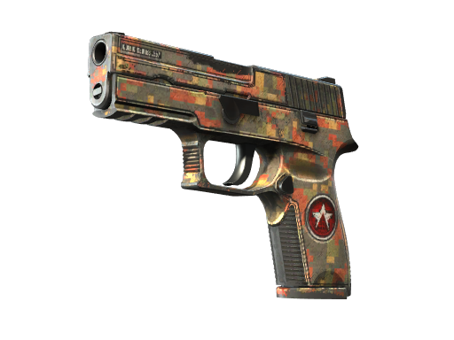 p250 Battle-Scarred
