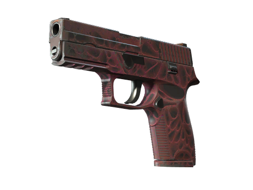 p250 Field-Tested