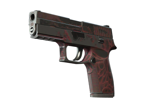 p250 Battle-Scarred