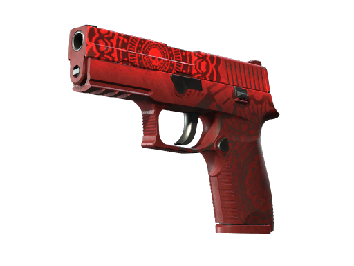 p250 Battle-Scarred