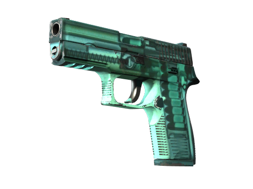 p250 Field-Tested