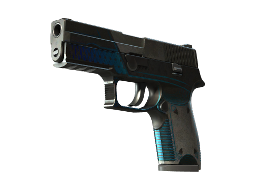p250 Battle-Scarred