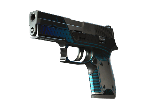 p250 Field-Tested