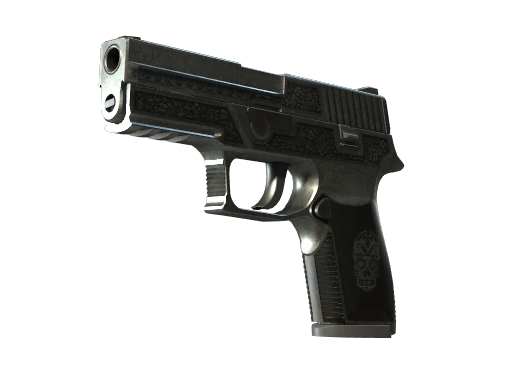 p250 Battle-Scarred