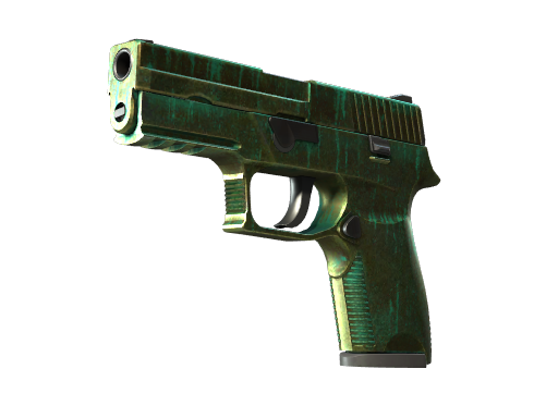p250 Battle-Scarred