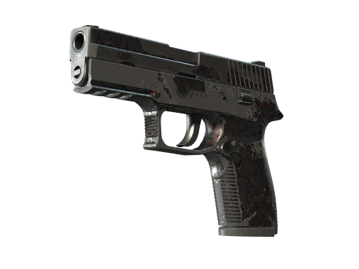p250 Battle-Scarred