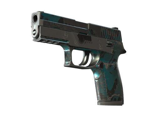 p250 Battle-Scarred
