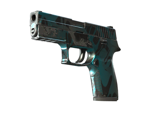 p250 Field-Tested