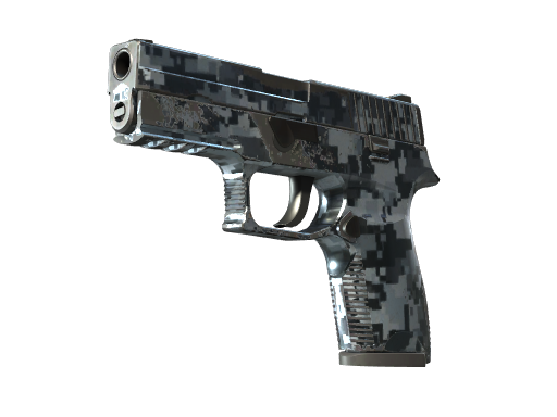 p250 Field-Tested