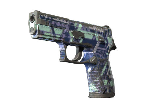 p250 Battle-Scarred