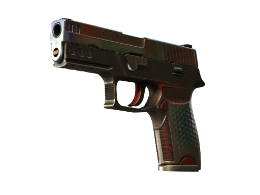 p250 Battle-Scarred