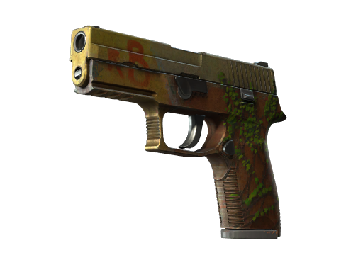p250 Battle-Scarred
