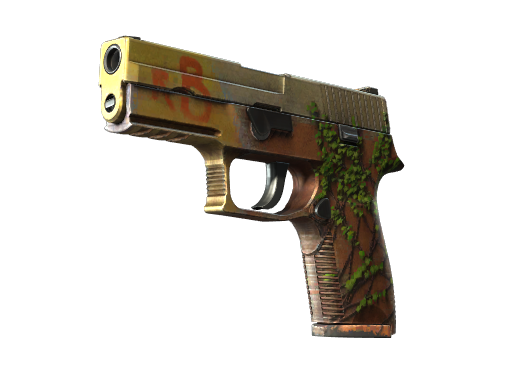 p250 Field-Tested