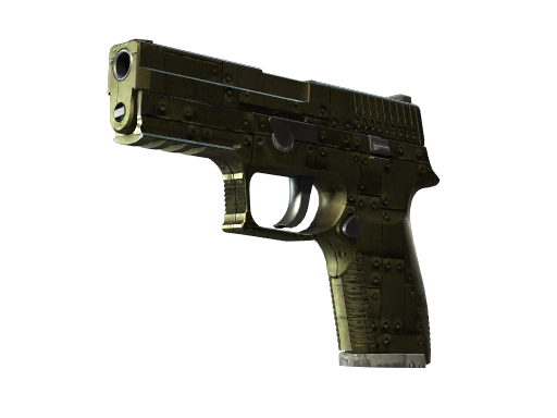 p250 Battle-Scarred
