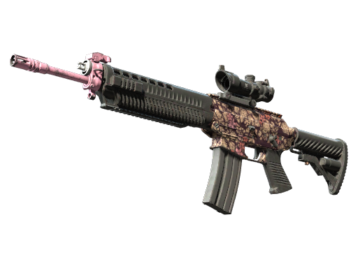 sg-553 Field-Tested