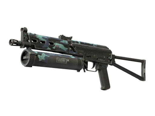 pp-bizon Field-Tested