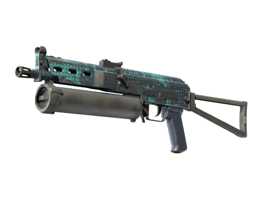 pp-bizon Field-Tested