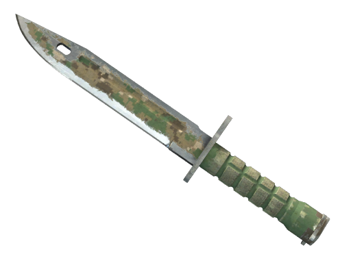 bayonet Battle-Scarred
