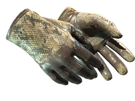 driver-gloves Battle-Scarred