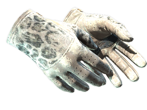 driver-gloves Battle-Scarred