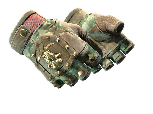 bloodhound-gloves Battle-Scarred