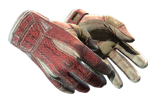 sport-gloves Battle-Scarred