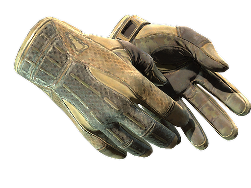 sport-gloves Battle-Scarred